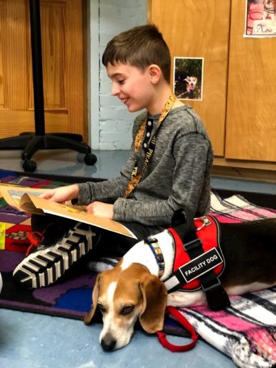 special needs student in animal assisted therapy for reading and expressive language reinforcement