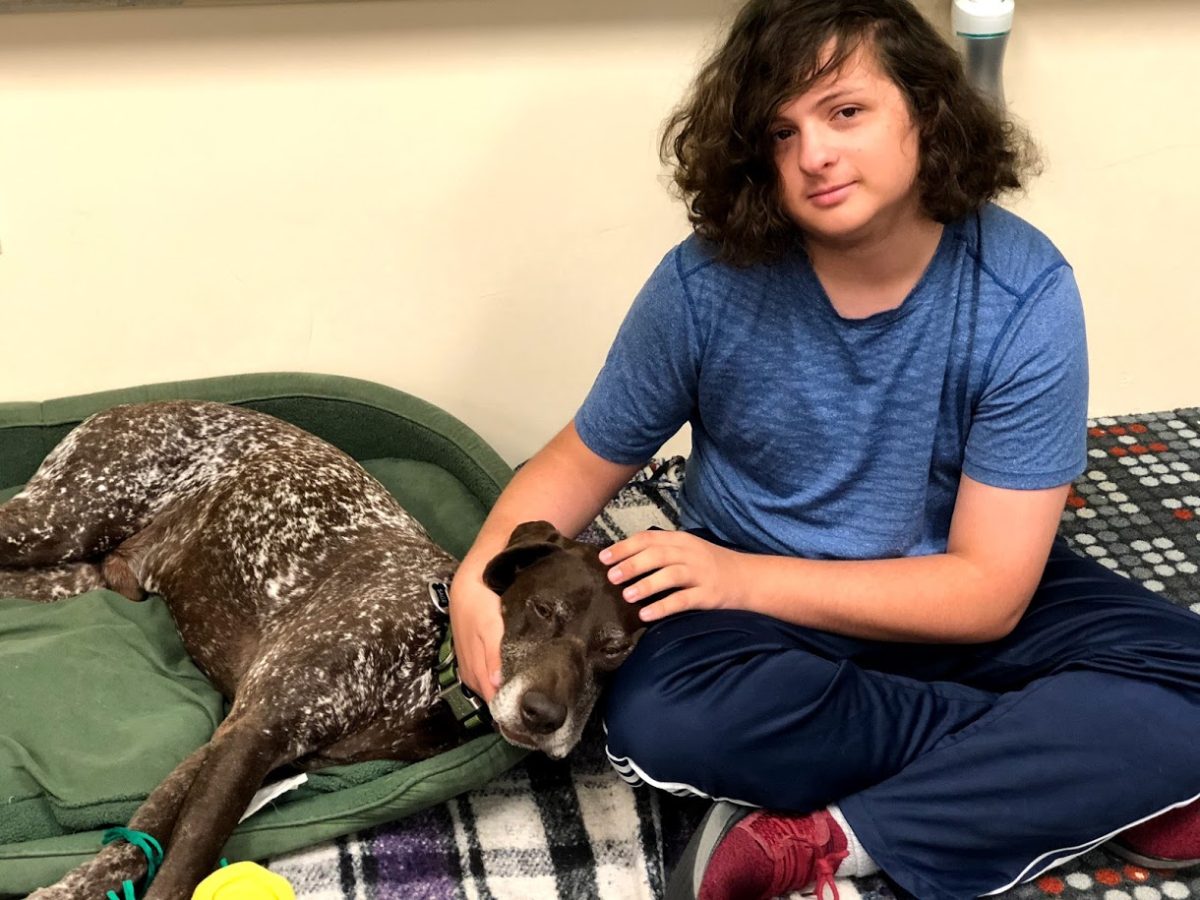 5 Benefits of Animal Assisted Therapy at The Calais School – The Calais ...