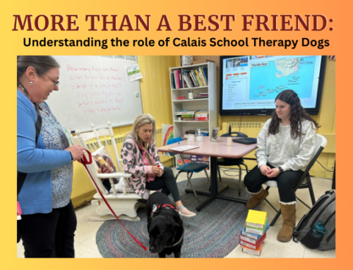 MORE THAN A BEST FRIEND: Understanding the Invaluable Role of Calais Therapy Dogs