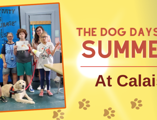Calais Gives a Whole New Meaning to “The Dog Days of Summer”