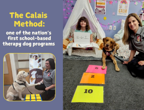 Calais is Setting the Gold Standard for Therapy Dog Integration in Schools