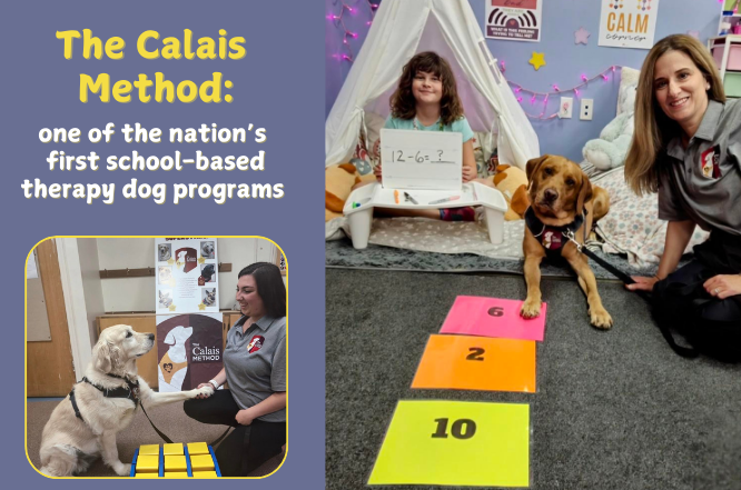 For over 10 years, Calais has tapped into the power of man’s best friend to deliver therapeutic services to students with disabilities.