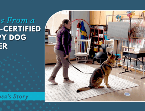 Insights From a Calais-Certified Therapy Dog Handler