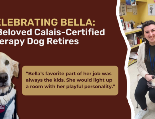 It’s Official, Bella is in Her Retirement Era